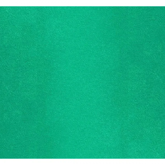 Courvin Kroyal Le Baron Verde Bandeira