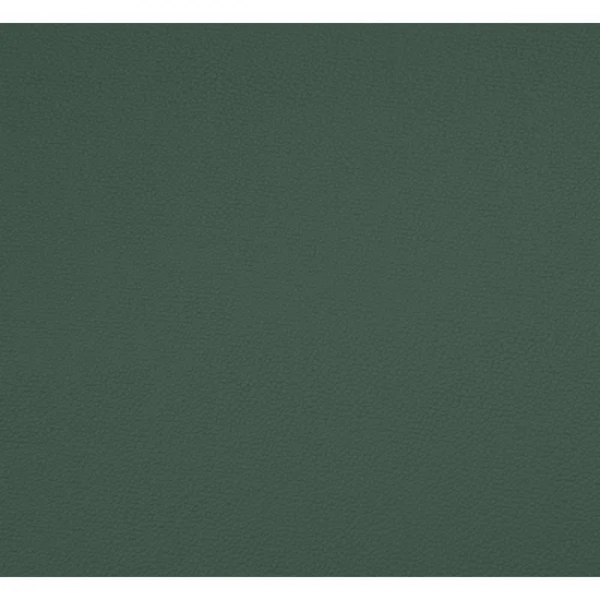 Courvin Pevecron Auto New Rivera Verde Courvin Pevecron Auto New Rivera Verde